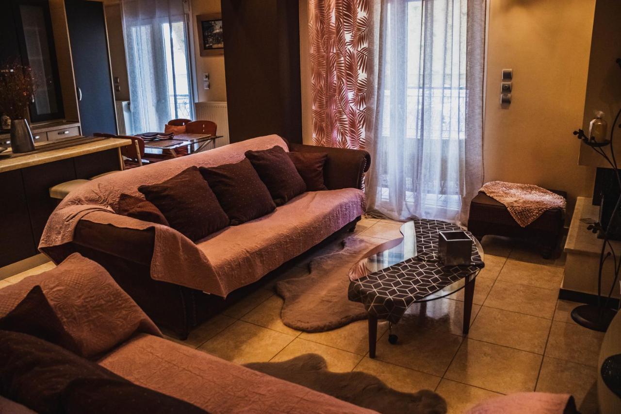 拉里萨Bojana' S Luxury House公寓 外观 照片