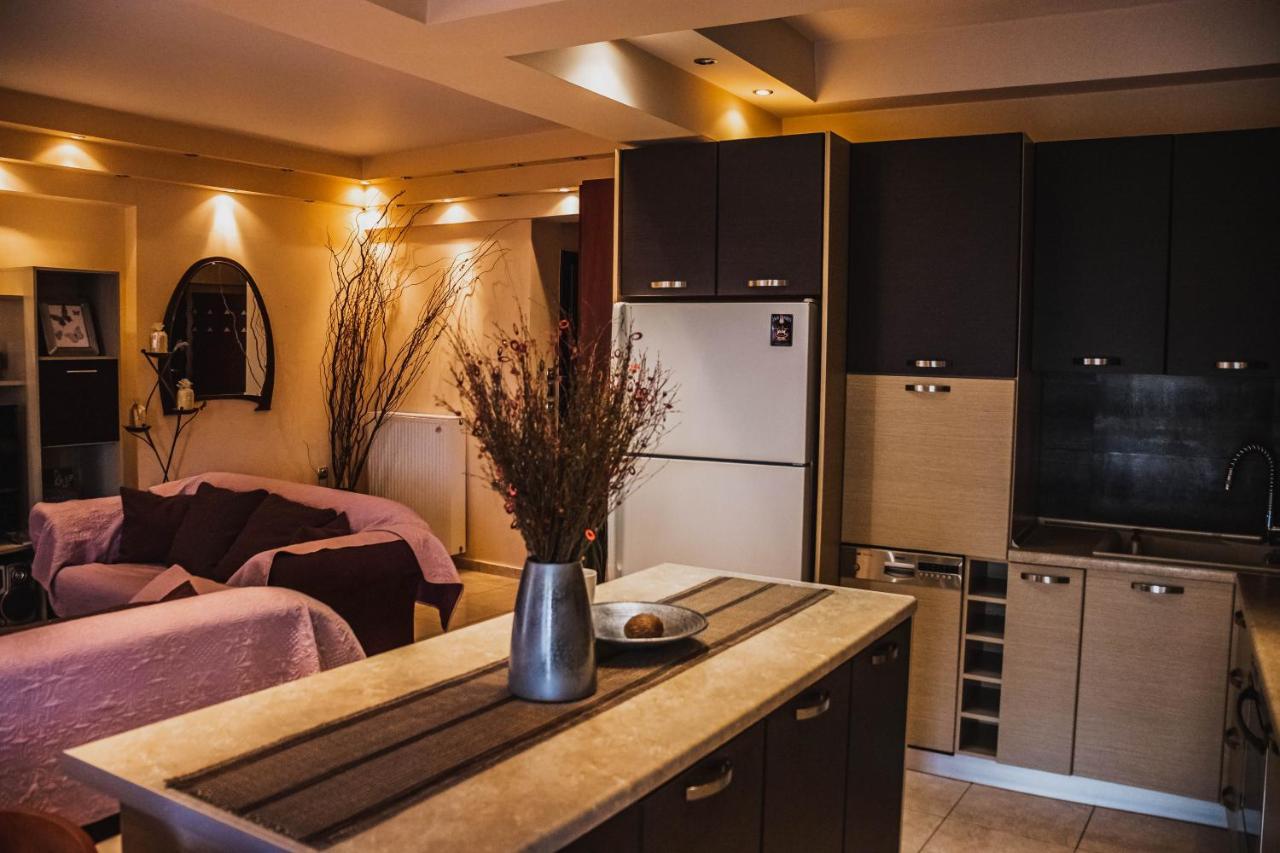 拉里萨Bojana' S Luxury House公寓 外观 照片
