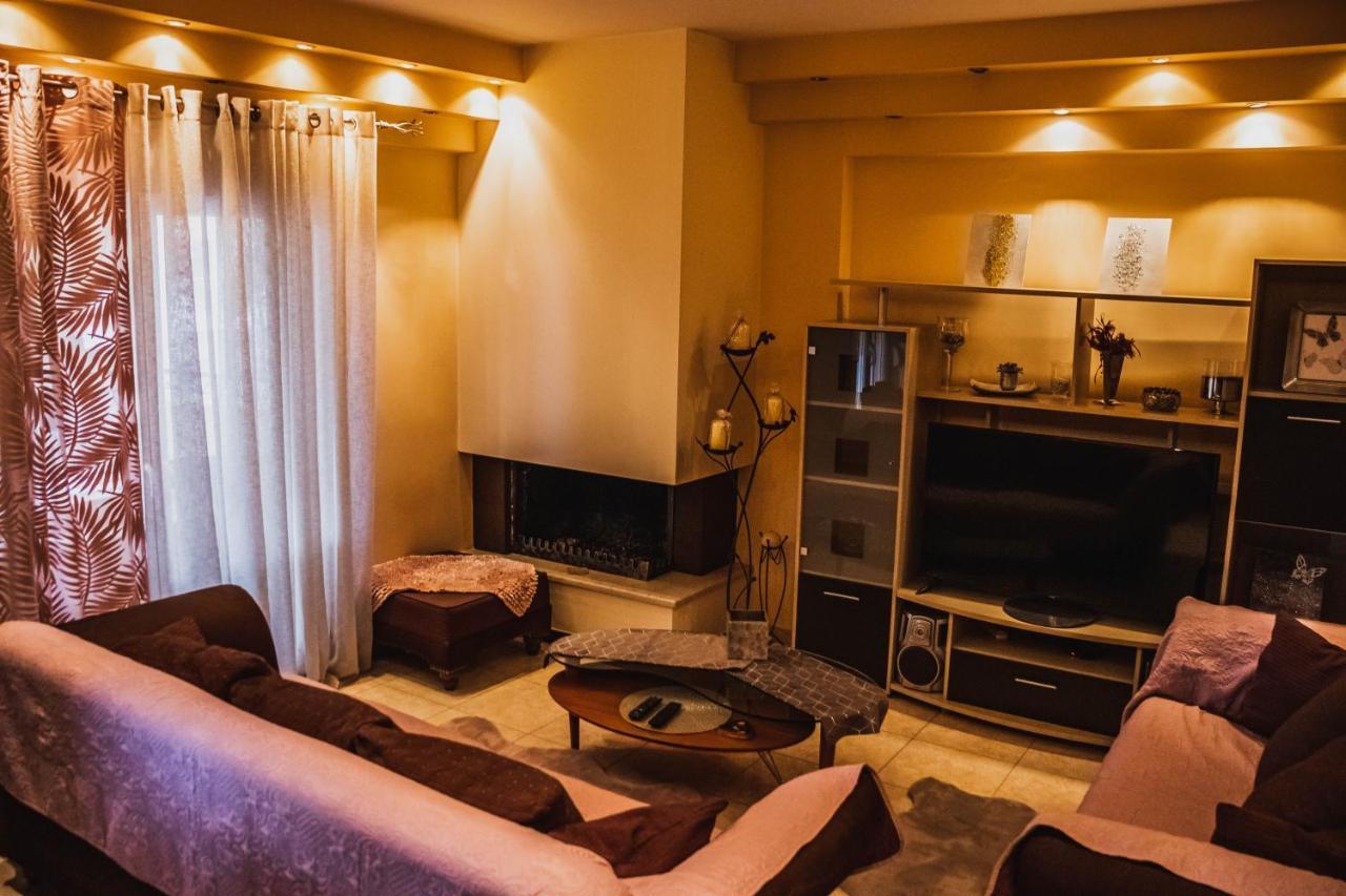 拉里萨Bojana' S Luxury House公寓 外观 照片